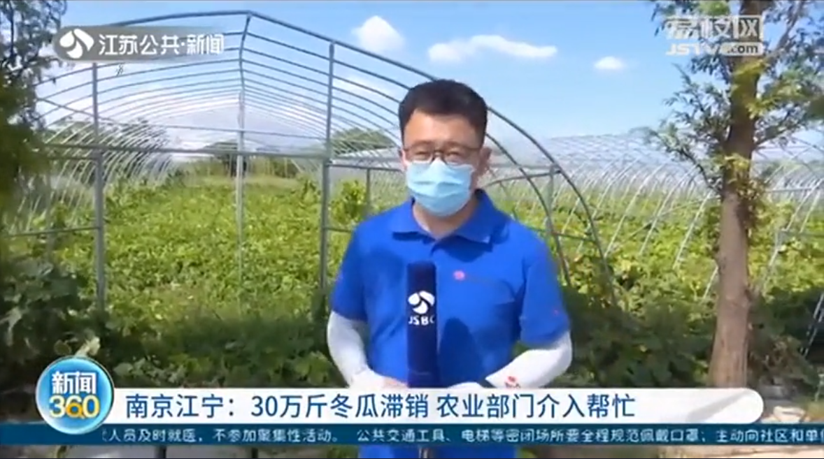 南京江宁：30万斤冬瓜滞销 农业部门介入帮忙