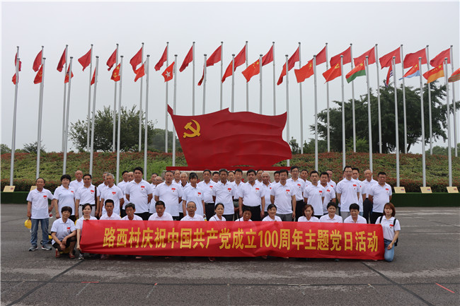南京江宁汤山街道路西村：凝心聚力学党史 红色基地悟党性