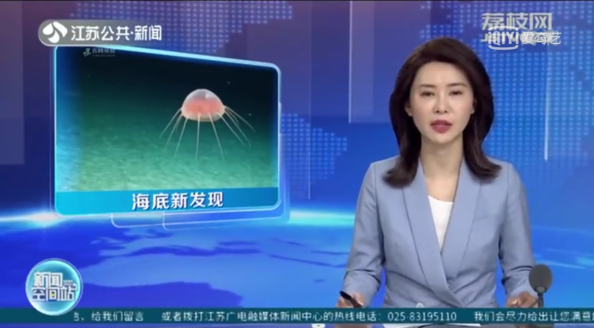 海底发现“凝胶状不明生物”